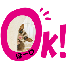 fuka_20191107162530