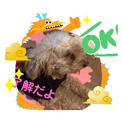 miyoko_20191107172758