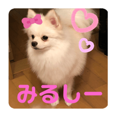 seira_20191107170844