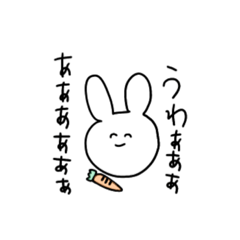 maron_20191107232252