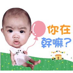 啊珍珍の日常