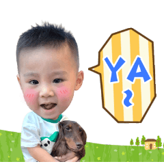 屁 宸 日 常