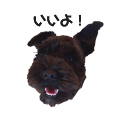mo-kin