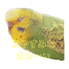 pi_20191107203900