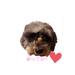 Yama_20191107223958