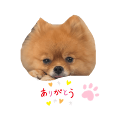 maron_20191106162714