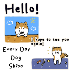 Every Day Dog SHIBA Eng2