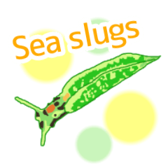 Sea creatures and sea slugs [English]