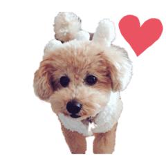 Rintarou__line
