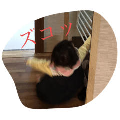 ERIKA_20191106173009
