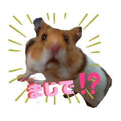 ハムスター Lineクリエイターズスタンプまとめ Stamplist Part 3