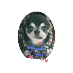 ken_20191106202534