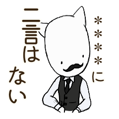 Mr. White Cat 11