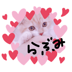 suu_20191108115104