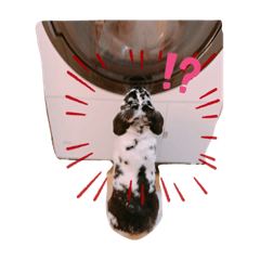 ann_20191108125116