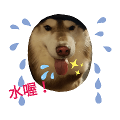 uutt