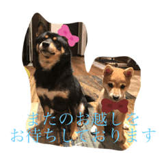 omame_20191108135704