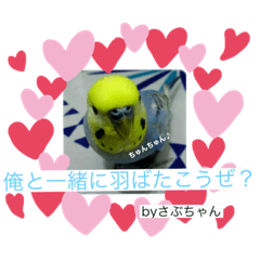 haruto_20191108182324