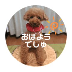 トイプードル Lineクリエイターズスタンプまとめ Stamplist Part 5