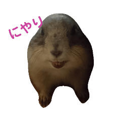 mizuki_20191108193557