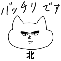 自由すぎる【北】（友達ねこ敬語）