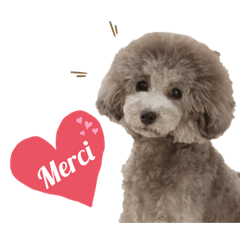 I am Merci Part 2