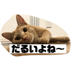 Ken_20191109010644