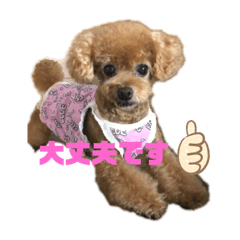 risa_20191109011919