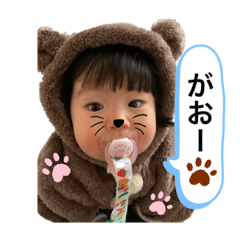 SUZU_20191108235941