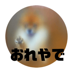 KID_20191108231808