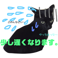 shizu_20191109023000