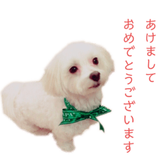 rika_20191108225442
