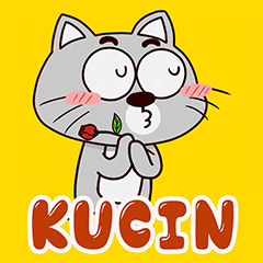 Kucin The Grey Cat