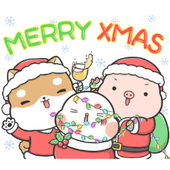 Shiba Inu Pipi - Lonely Christmas
