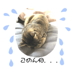 asa_20191108143429