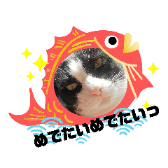 akiko_20191109130844