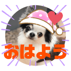 michiko_20191109120053