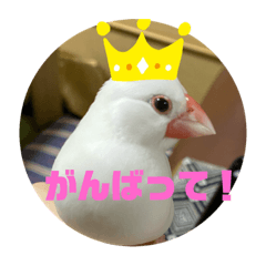 Kyoko_20191109144126