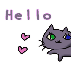 Odd eyed gray cat