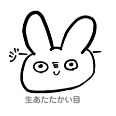 Suzu_20191109163908
