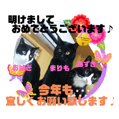 akiko_20191109175342