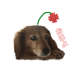 HARURU_STANP2