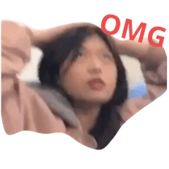 芳芳們的醜照貼圖