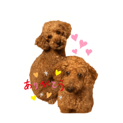 shantty&meteor
