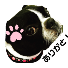Moko_20191109135439