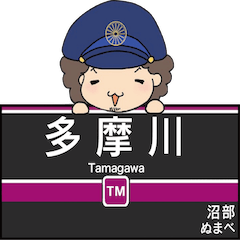 Tokyo Tamagawa Line Station Name