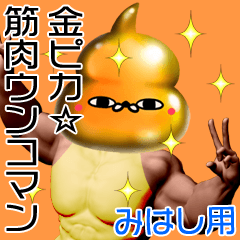 Mihashi Gold muscle unko man
