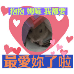 布丁最可愛了啦