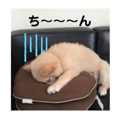 minako_20191109213359