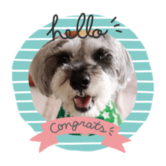 yukari_20191109214058